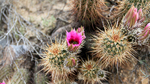 photo thumbnail #8