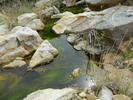 photo thumbnail #15