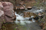 photo thumbnail #3