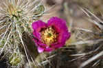 photo thumbnail #1
