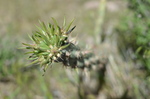 photo thumbnail #6