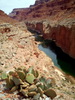 photo thumbnail #15