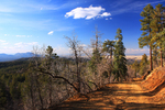 photo thumbnail #8