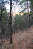 photo thumbnail #9