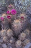 photo thumbnail #3
