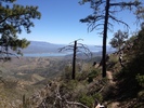 photo thumbnail #2