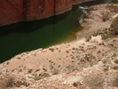 photo thumbnail #14