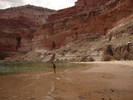 photo thumbnail #15