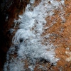 photo thumbnail #8