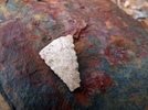 photo thumbnail #15