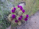 photo thumbnail #2