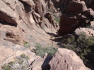 photo thumbnail #7