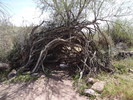 photo thumbnail #14