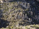 photo thumbnail #12