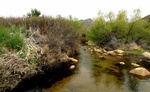 photo thumbnail #1