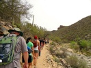 photo thumbnail #5