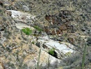 photo thumbnail #11