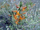 2013-03-30 :2: Seven Falls - Sabino Canyon Recreation Area :: trailzrus