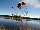 photo thumbnail #1