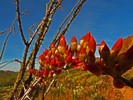 photo thumbnail #10