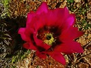 photo thumbnail #14