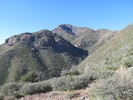 photo thumbnail #1