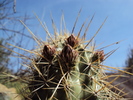 photo thumbnail #2