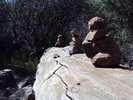 photo thumbnail #8