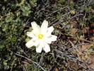 photo thumbnail #15