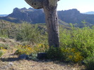 photo thumbnail #3