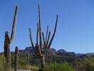 photo thumbnail #5