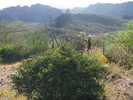 photo thumbnail #6