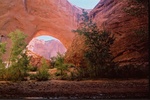 photo thumbnail #10