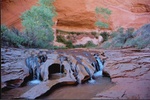 photo thumbnail #11