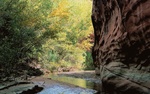 photo thumbnail #14
