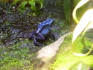 photo thumbnail #8