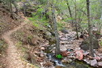 photo thumbnail #1