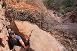 photo thumbnail #6