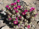 photo thumbnail #2