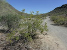 photo thumbnail #3
