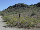 photo thumbnail #4