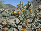 photo thumbnail #5
