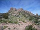 photo thumbnail #2