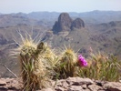photo thumbnail #10