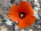 photo thumbnail #9
