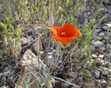 photo thumbnail #12
