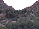photo thumbnail #2