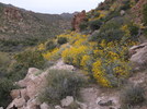 photo thumbnail #15