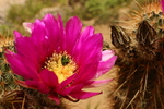 photo thumbnail #7