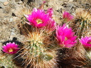 photo thumbnail #1